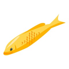 Yellow koi carp icon. Isometric of yellow koi carp vector icon for web design isolated on white background