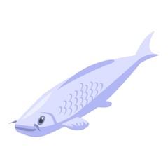White koi carp icon. Isometric of white koi carp vector icon for web design isolated on white background