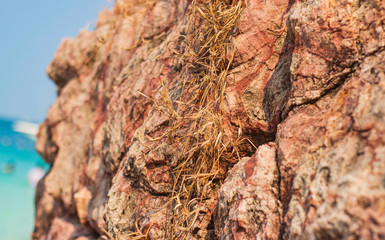 Rocky Coastline with Boulders. Sea and beach views. The Ko Lan Island Pattaya.