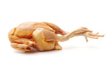 Raw fresh chicken isolated on white background 