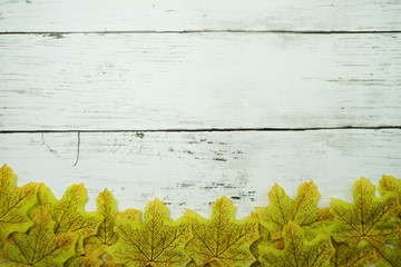 Autumn Maple leave border frame with space copy on wooden background