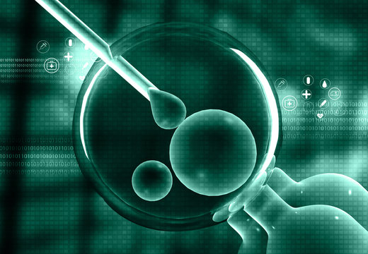  IVF, medical background. 3d illustration