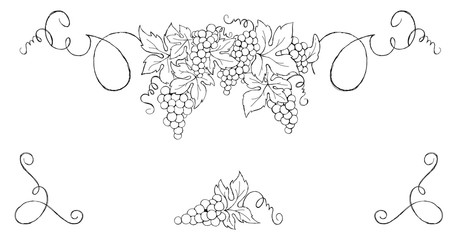 Grapes -- vintage design element. Set vector illustration for wine label. - obrazy, fototapety, plakaty