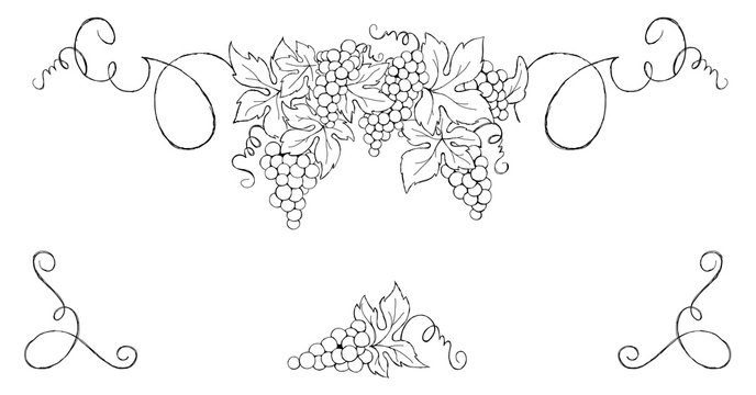 Grapes -- vintage design element. Set vector illustration for wine label.