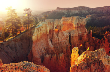 Bryce