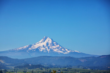 Fototapeta premium Mt Hood