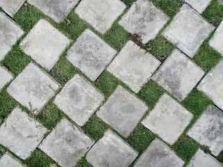 Rectangle-shaped paving blocks and green grass as landscape surface material