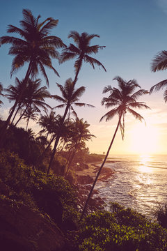 Tropical island at sunrise, color toned picture, Sri Lanka.