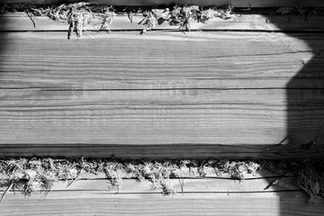 Wooden wall made of logs and dry moss close-up illuminated by the bright sun. Abstract background black and white