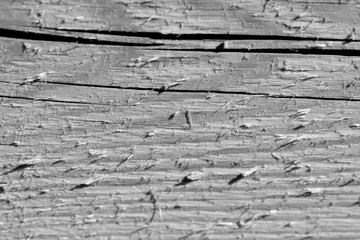 Close-up of a wooden wall of boards illuminated by the bright sun. Black and white
