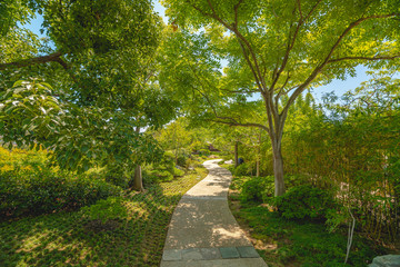Footpath in the garden surrounded by trees