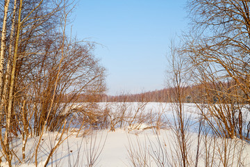 Winter landscape with forest and field in a sunny day