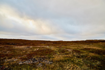 Tundra landscape in the north of Norway or Russia