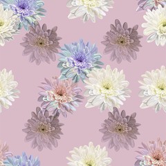 chrysanthemum flower seamless pattern vector illustration