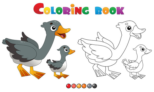 Coloring Page Outline of cartoon goose with gosling. Farm animals. Coloring book for kids.