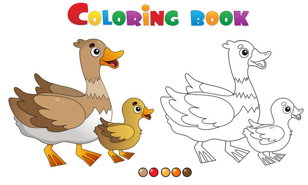 Coloring Page Outline of cartoon duck with duckling. Farm animals. Coloring book for kids.
