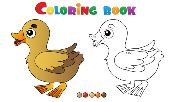 Coloring Page Outline of cartoon little duck. Farm animals. Coloring book for kids.