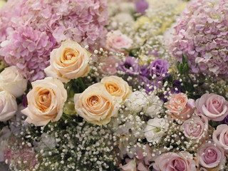 Obraz na płótnie Canvas old rose, white Gypsophila and purple Hydrangea flower event wedding beautiful bouquet on blurred of background