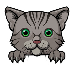 Cute cat head cartoon mascot design