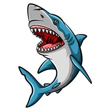 Cartoon angry shark mascot on white background