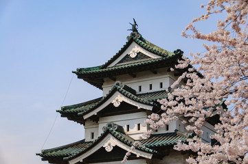 弘前城の桜