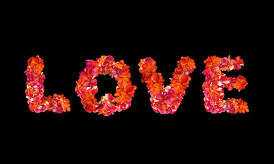 Love written in capital letters with red petals on a black background