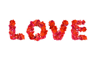 Love written in capital letters with red petals on a white background