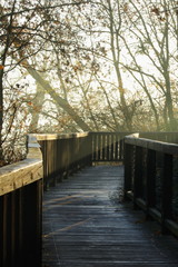 Fototapeta premium Sunbeams over wooden footbridge.