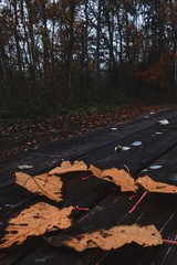 Autumn leaves.