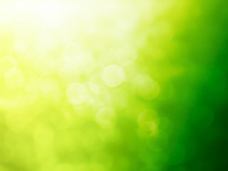 Green blurred background and sunlight bokeh.green bokeh background.