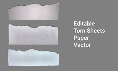 editable torn sheets paper vector