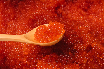 Red caviar in a wooden spoon.