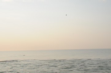 Vacation on sea with waves and seagulls