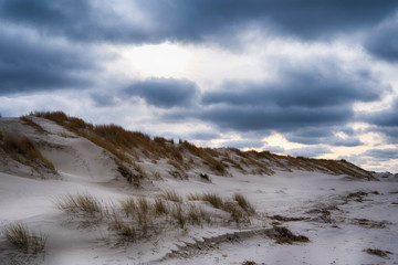 Fototapeta na wymiar Dunes on the North Frisian Island Amrum in Germany