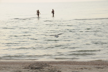 Fototapeta na wymiar Vacation on sea with waves and seagulls