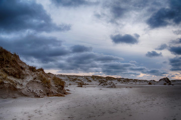 Dunes on the North Frisian Island Amrum in Germany