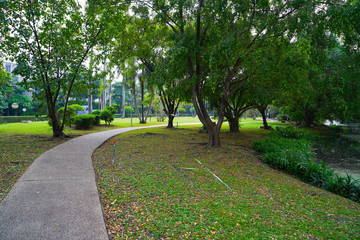 path in the park