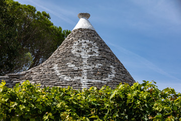 Grapevines on the stone roof of Trulli House in Alberobello, Italy.