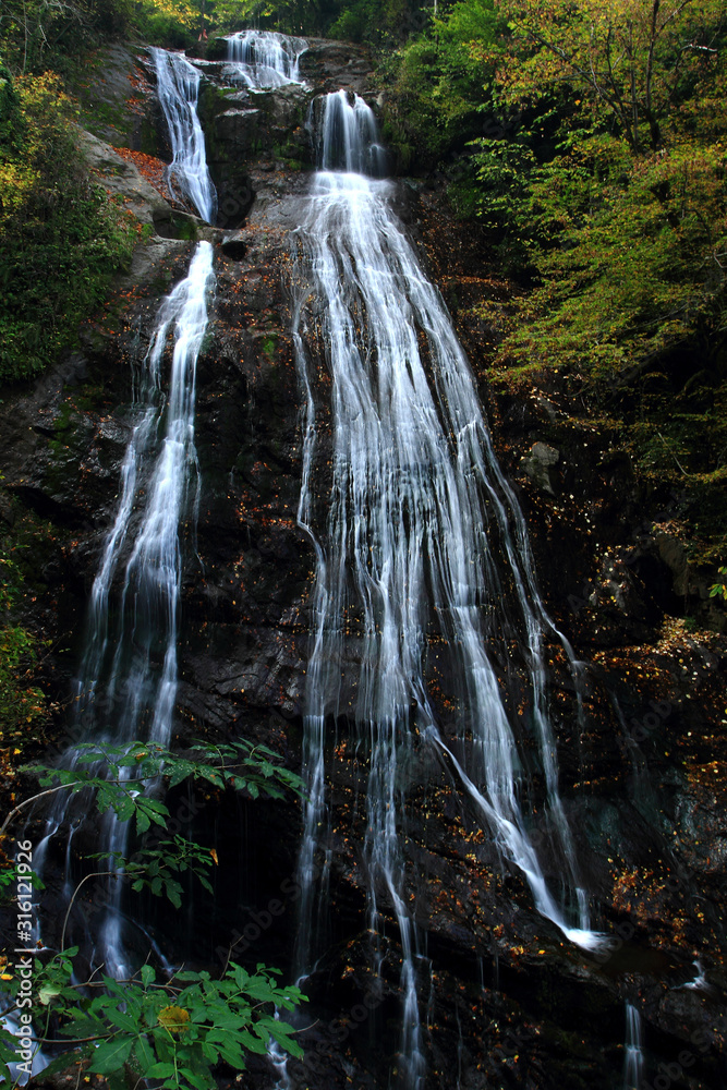 Canvas Prints waterfall in the forest