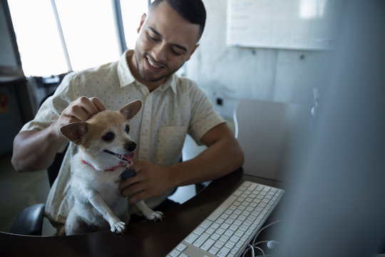 Latino Businessman Petting Cute Dog On Lap At Office Desk