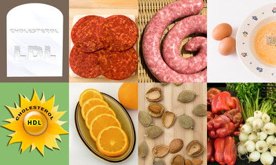 Muestra de alimentos que provocan colesterol LDL o HDL.