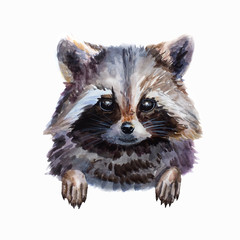 Watercolor hand painted baby racoon sketch © Topolyushka