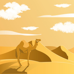 Illustration vector graphic camel on the sahara