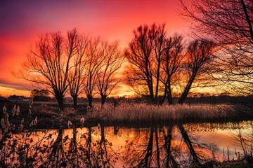 Photo sur Aluminium Corail coucher de soleil ardent rouge et arbres sans feuilles