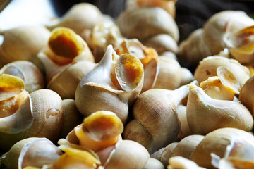 Fototapeta na wymiar Korean fresh steamed seashell dish 