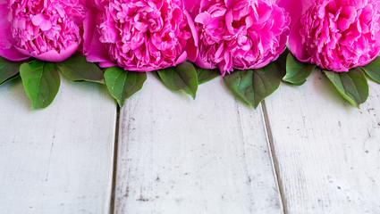 Pink peonies on white wooden background. 