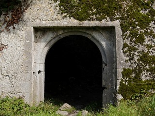 Obraz premium Dark entrance into old house without the door, Vegetation grows on the wall, Round shape door frame.