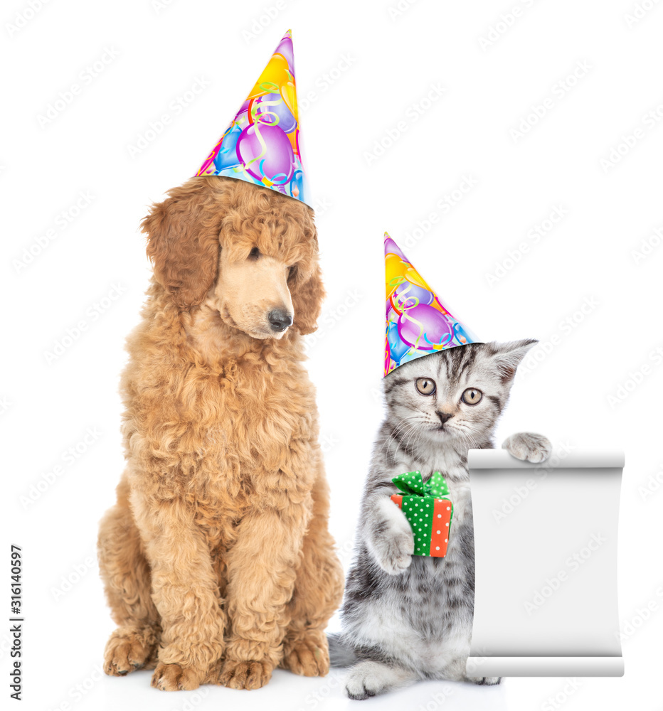 Poster dog and cat wearing party hats. kitten holds gift box and empty list. isolated on white background