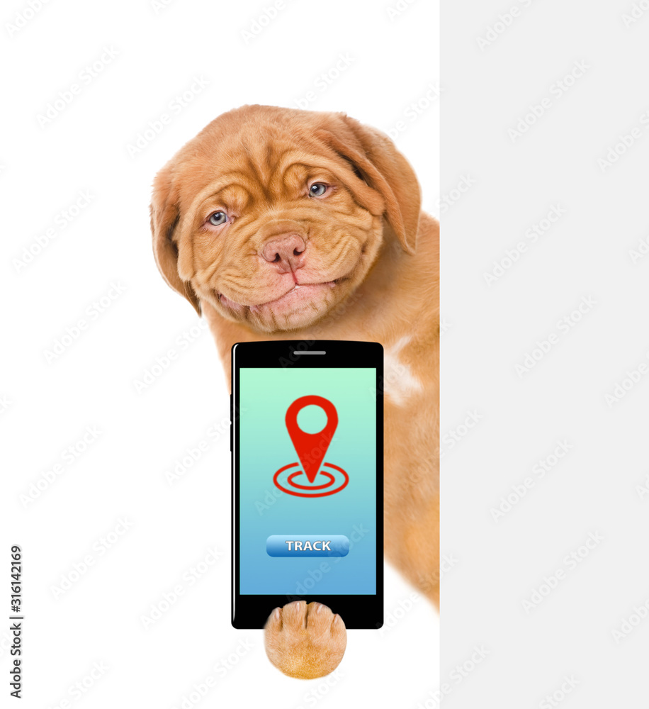 Poster Smiling puppy holds smartphone behind empty banner. Delivery and tracking concept. Isolated on white background