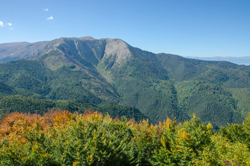 Mountain Panorama - Wild Nature Forest - Wild Green Nature - Mariovo, Macedonia